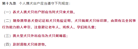 景洪市城市养犬管理办法（试行）